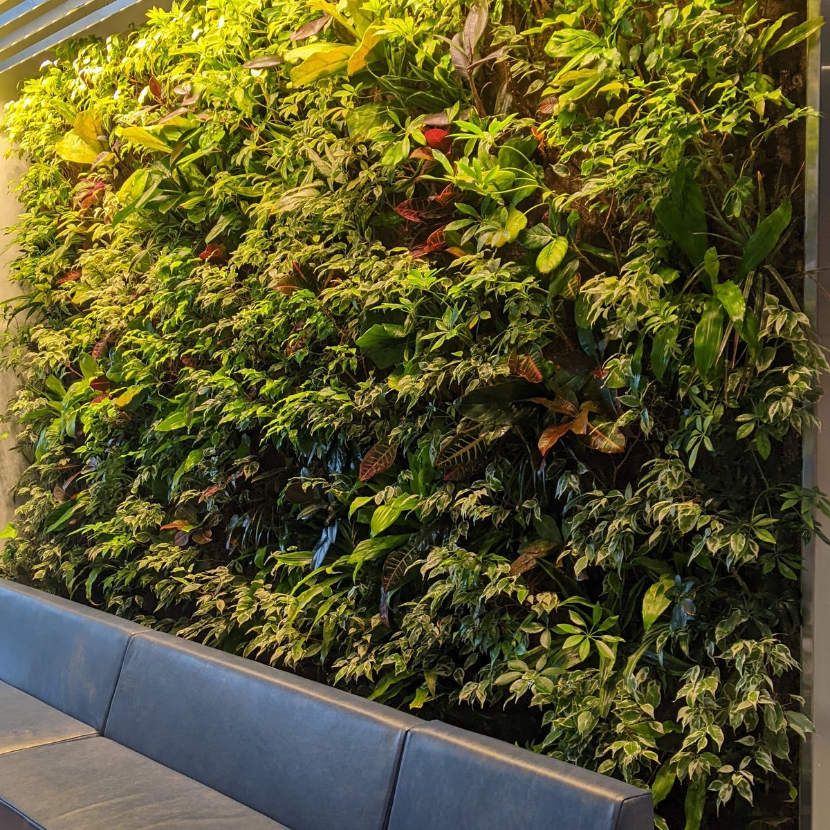 Nedlaw Group tweet media