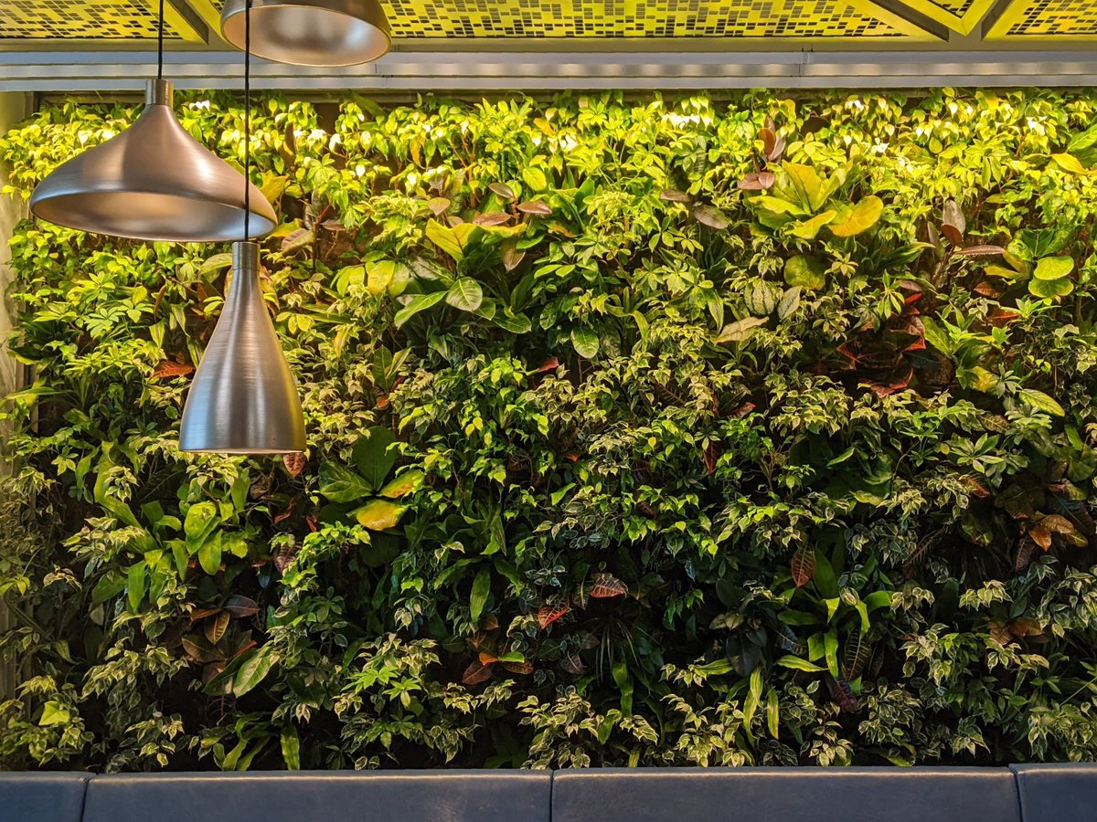Nedlaw Biofilters combine three #technologies – biofiltration, phytoremediation, and hydroponics – into a unique system designed specifically to deal with issues of indoor air quality.  Learn more at NedlawLivingWalls.com

The Daniels Corporation
Toronto, ON