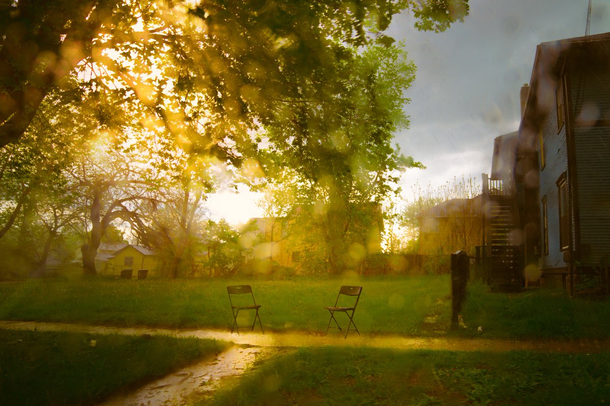audrey_marquis_'s tweet photo. Painted by the rain 2022 https://t.co/nwBxVRzr3P