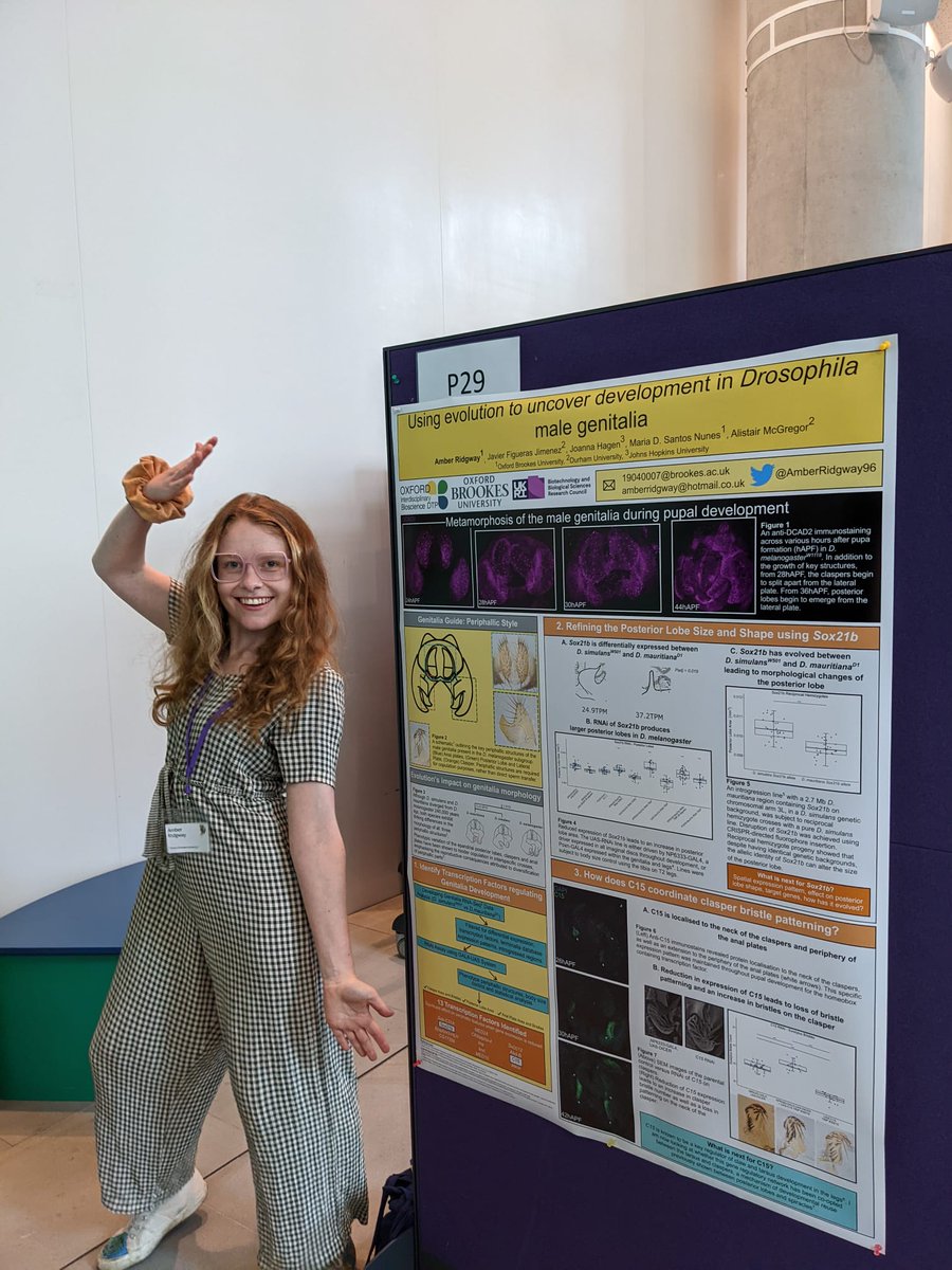 @AmberRidgway (@amberridgway96) on Twitter photo Come learn about the development of male genitalia with me! #YEN2022 <a href="/YEN_community/">Young Embryologist Network</a> Come learn about the development of male genitalia with me! #YEN2022 <a href="/YEN_community/">Young Embryologist Network</a>