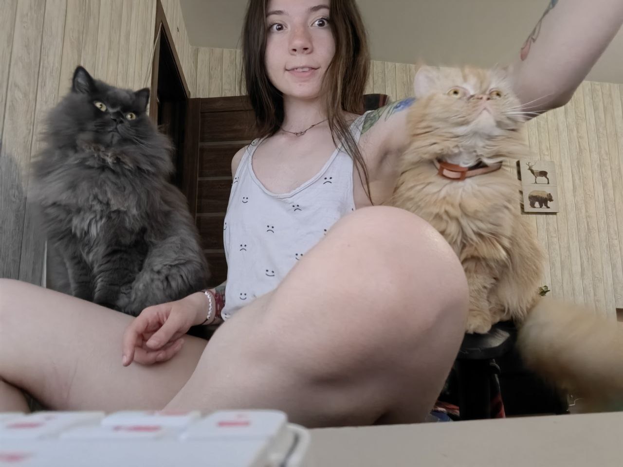 My pussies) https://t.co/g9Sg4XpQ9v