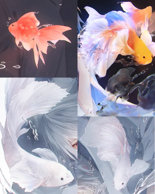 さかな°・🐠 