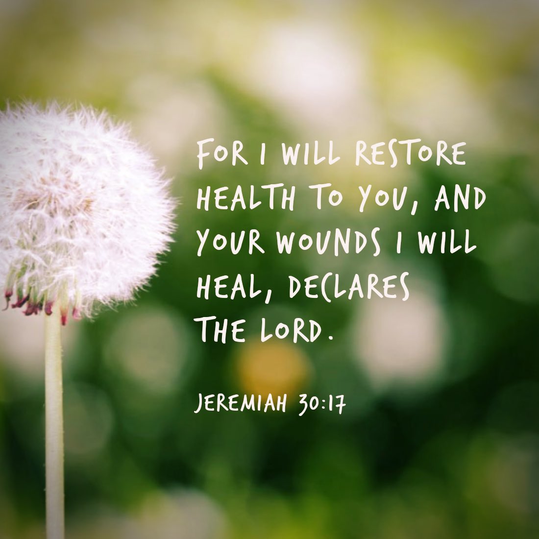 💕 Hello Writers! 💕
❤️‍🩹❤️‍🩹❤️‍🩹

Today’s #ChristianWriters writing prompt is #heal

Please respond with either a story, prayer or poem. Don’t forget to tag #ChristianWriters and #cwp365! 

✨ May 16th: Today’s word is #heal