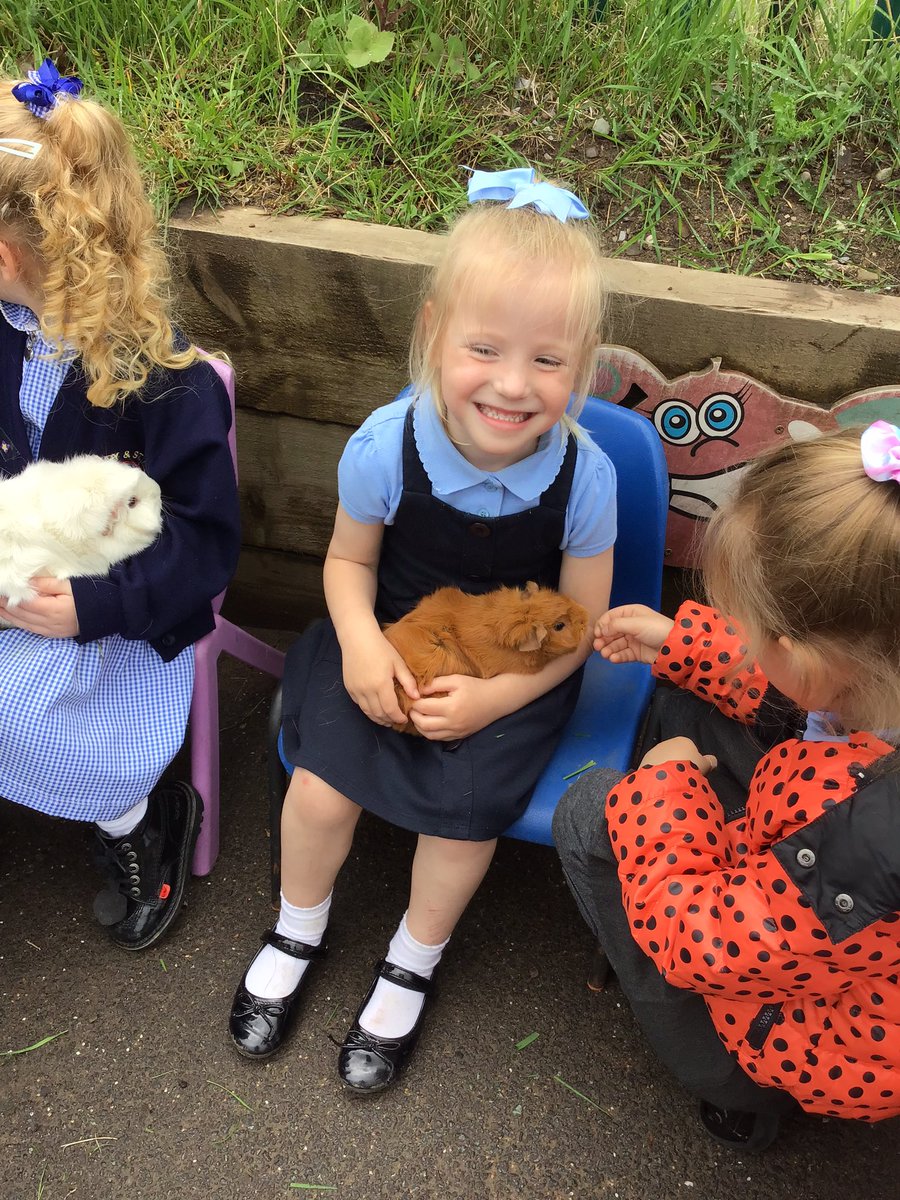 EYFS_OLSP's tweet image. Welcome to another week in EYFS. We always start the week off by checking in on our class pets Camilla and Eileen. We make sure we give them plenty of love and attention #earlyyears #socialandemtionaldevelopment #speechandlanguagedevelopment @OLSP_Heywood