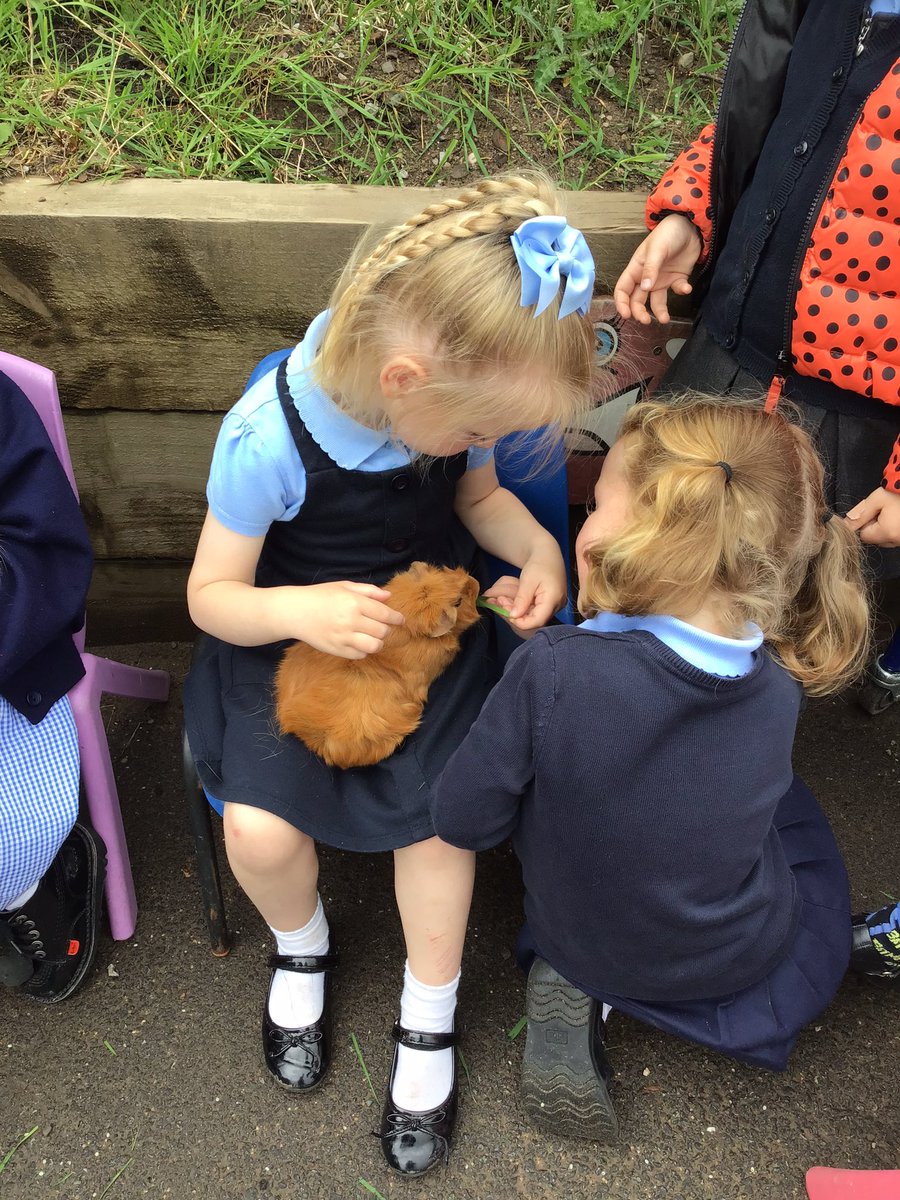 EYFS_OLSP's tweet image. Welcome to another week in EYFS. We always start the week off by checking in on our class pets Camilla and Eileen. We make sure we give them plenty of love and attention #earlyyears #socialandemtionaldevelopment #speechandlanguagedevelopment @OLSP_Heywood