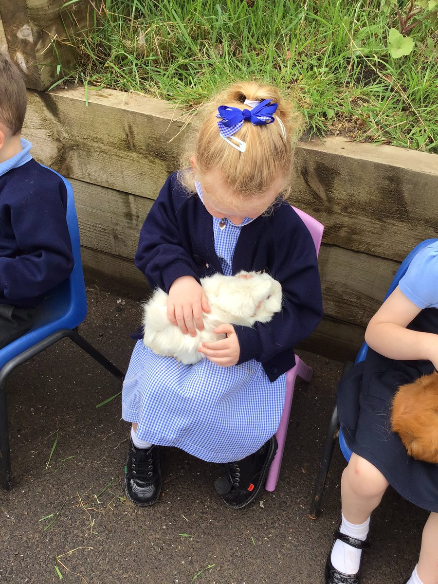 EYFS_OLSP's tweet image. Welcome to another week in EYFS. We always start the week off by checking in on our class pets Camilla and Eileen. We make sure we give them plenty of love and attention #earlyyears #socialandemtionaldevelopment #speechandlanguagedevelopment @OLSP_Heywood