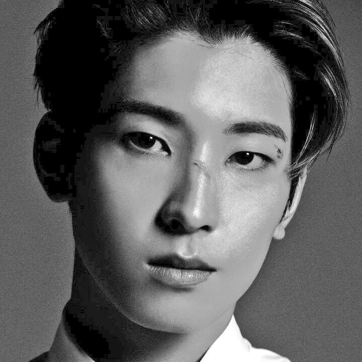wonuunice's tweet photo. 📷🤍
#CSD #CaratSelcaDay #WONWOO #SEVENTEEN #FacetheSun #세븐틴 @pledis_17 https://t.co/oT5beOTxSq