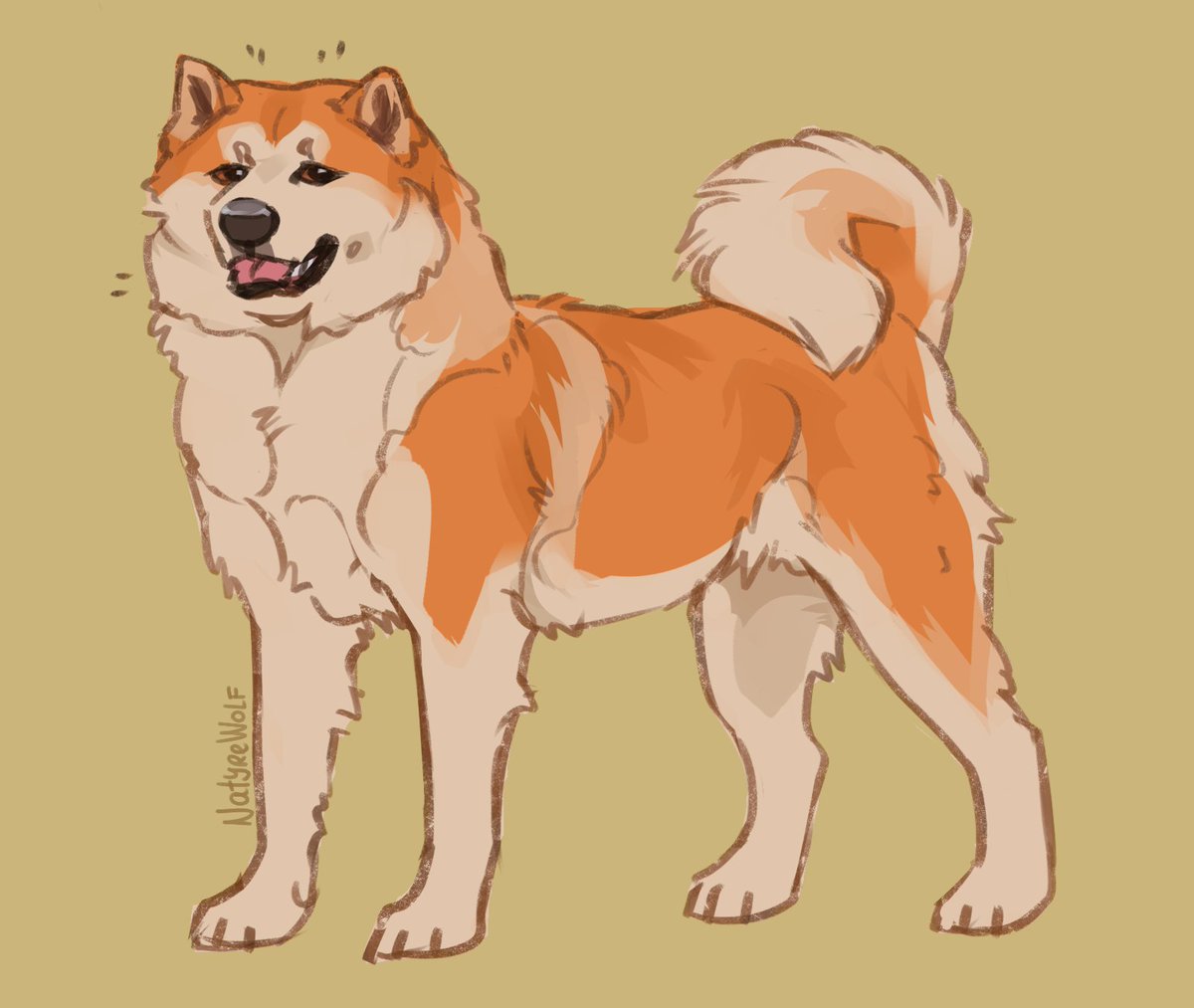NatyreWolf's tweet photo. Dog breeds originating from Japan! 🇯🇵🐕 https://t.co/oFF8VkuQDs