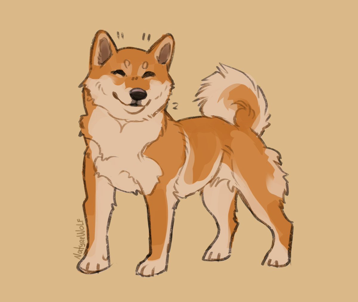 NatyreWolf's tweet photo. Dog breeds originating from Japan! 🇯🇵🐕 https://t.co/oFF8VkuQDs