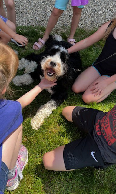 PlainCityElementary (@pcelementary) on Twitter photo This past Friday <a href="/wheatljo1/">JoLynn Wheatley</a> and the JAHS Hope Squad brought therapy dogs to PCES. Needless to say, our students loved the time they got to spend with them! #youmatterJA This past Friday <a href="/wheatljo1/">JoLynn Wheatley</a> and the JAHS Hope Squad brought therapy dogs to PCES. Needless to say, our students loved the time they got to spend with them! #youmatterJA