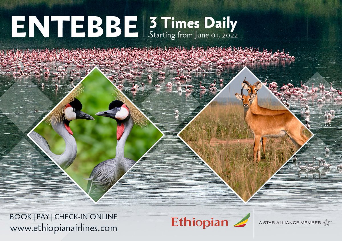 flyethiopian's tweet photo. We are pleased to announce that we have increased flight frequency to/from Entebbe to thrice daily. Enjoy our additional flights starting from 01 June 2022.
Book your flight now with Ethiopian Mobile APP.
#EthiopianAirlines
#FlyEthopian
https://t.co/r8XxeylEH7 https://t.co/aLQpMhuIjE