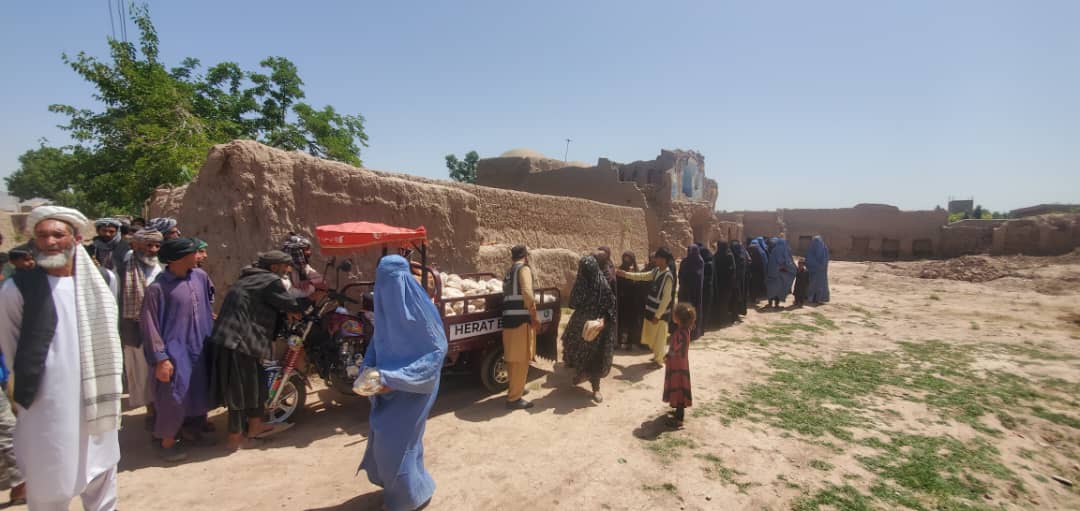 One_NationUK's tweet image. Afghanistan ~ Bread Distribution 

Thousands of families are receiving essential supplies of free bread daily, easing their burden &amp;amp; struggles in their time of need. 

Onenationuk.org
0300 500 1000

#afghanistan #humanitarianaid #breadfactory