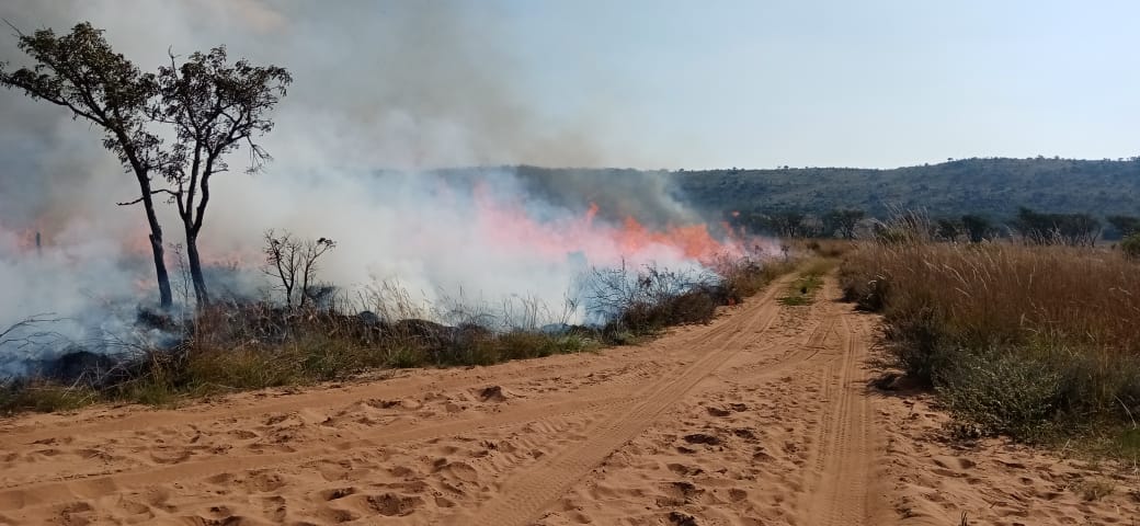 wo_fire's tweet photo. Working on Fire Leseding and Alma teams were hard at work in reducing the risk of unwanted fires by conducting a manual fuel reduction through controlled burning at a farm in Vaalwater.
#WOF_LIM
#IntegratedFireManagement
#FireReadiness
@environmentza https://t.co/HANF1lM72r