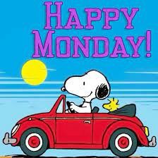 ShennyWalrond's tweet photo. @StanPic25845029 @rotrujo @RangerTheDogg @smoke_schnauzer @h_myles @goobie2014 @BenjiTibetan @markblk9779 @3phibotticelli @sweetAbby20 @ctinebean @dudley_doodle @Susansm70570449 @LJ_doodle @QueenVLM @stephchambers3 @dog_phoebe @vwcecil @badpiratemonkey @mahonmaura1 Happy New Week Stan &amp; all my  bestest Gang ! I’ll catch yoo on the mainland as they say ere . Ave a guud un &amp; luvs yoo all 🐶🐈✈️🏝🦎🐚🌊🐓😎😳🍹🩴❤️ #conchlife https://t.co/Yr2EAHgWpX