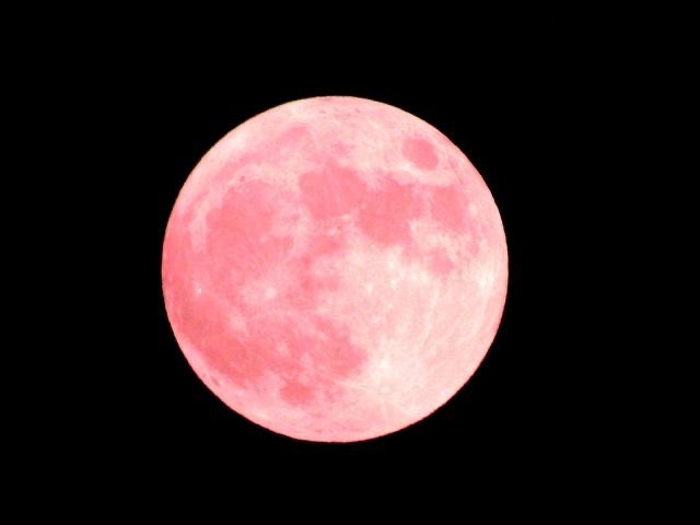 今夜はフラワームーン｡.:*🌸