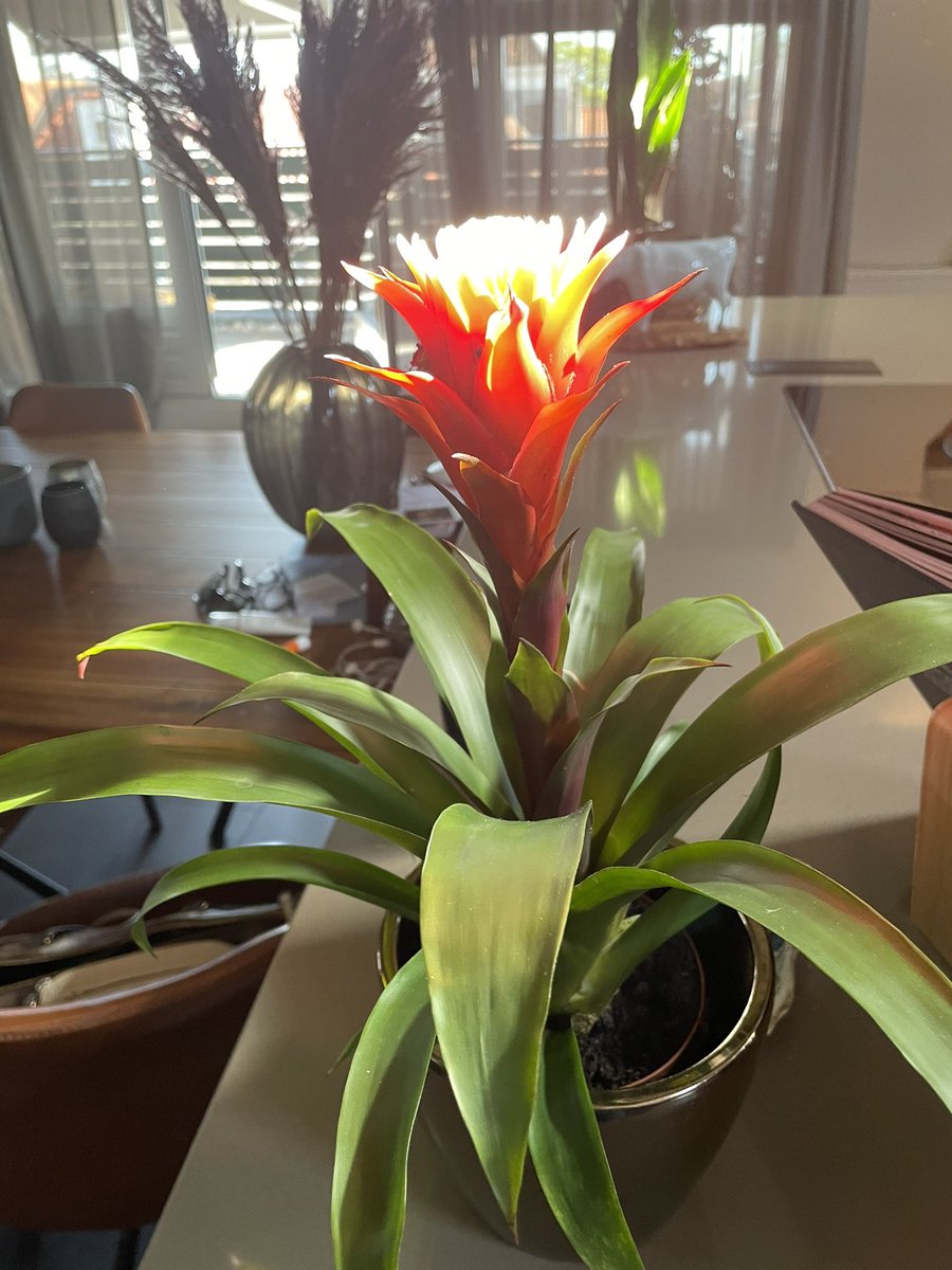 Het gaat allemaal om de juiste belichting ❤️