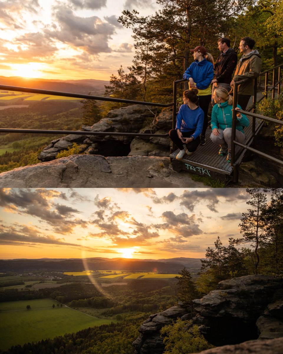 Laura Dicke tweet media