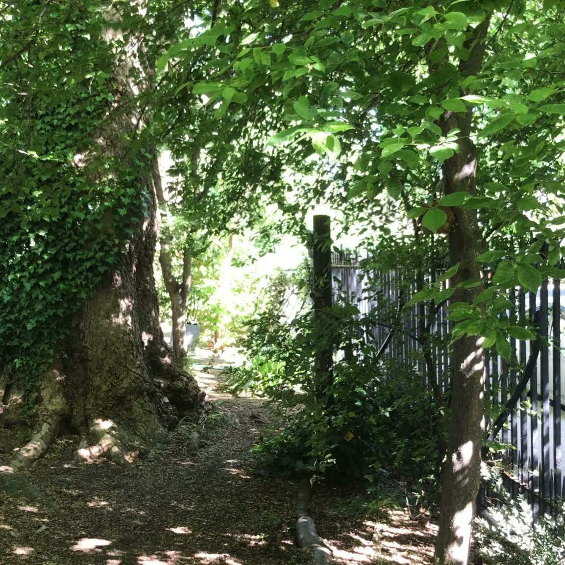 coramsfields's tweet photo. Our community garden is looking amazing thanks to the hard work of our gardening club volunteers!👨‍🌾

#volunteer #community #charity #gardening https://t.co/pHI2OycIny