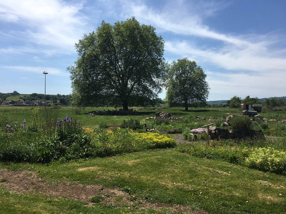 NaturfreundeBV's tweet photo. Wunderschönes Gelände #NABU #Ortenberg Selters mit vielen anschaulichen #Biotopen Stars waren die #Frösche Bilder liefere ich nach - versprochen https://t.co/XlM8WNbZhu