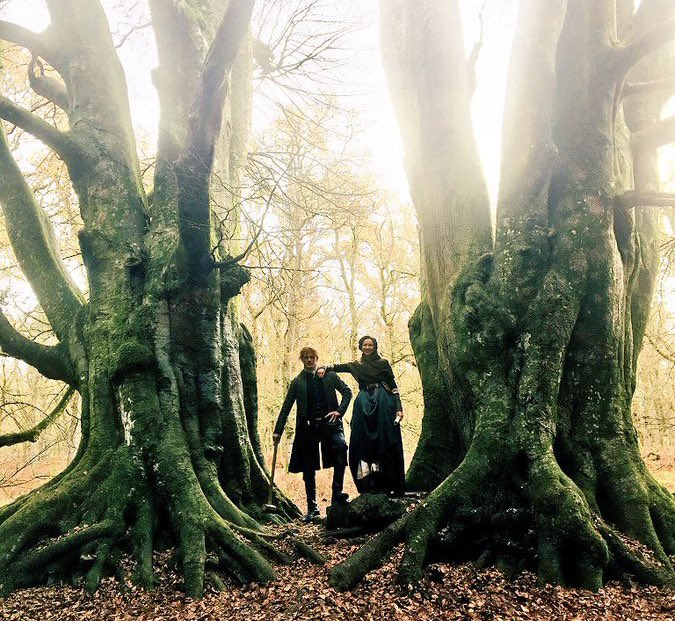 Happy #NationalLoveATreeDay

We all know how important trees and the environment are to #CaitríonaBalfe and #SamHeughan💚

Both are supporters of @onetreeplanted👇👇
onetreeplanted.org/pages/highligh…

“In the woods we return to reason and faith.”-Ralph Waldo Emerson

#LoveATreeDay