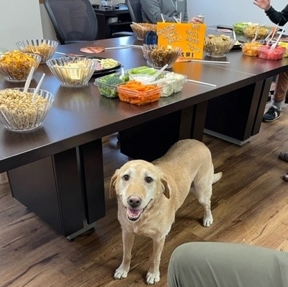 Kelmann Restoration tweet media