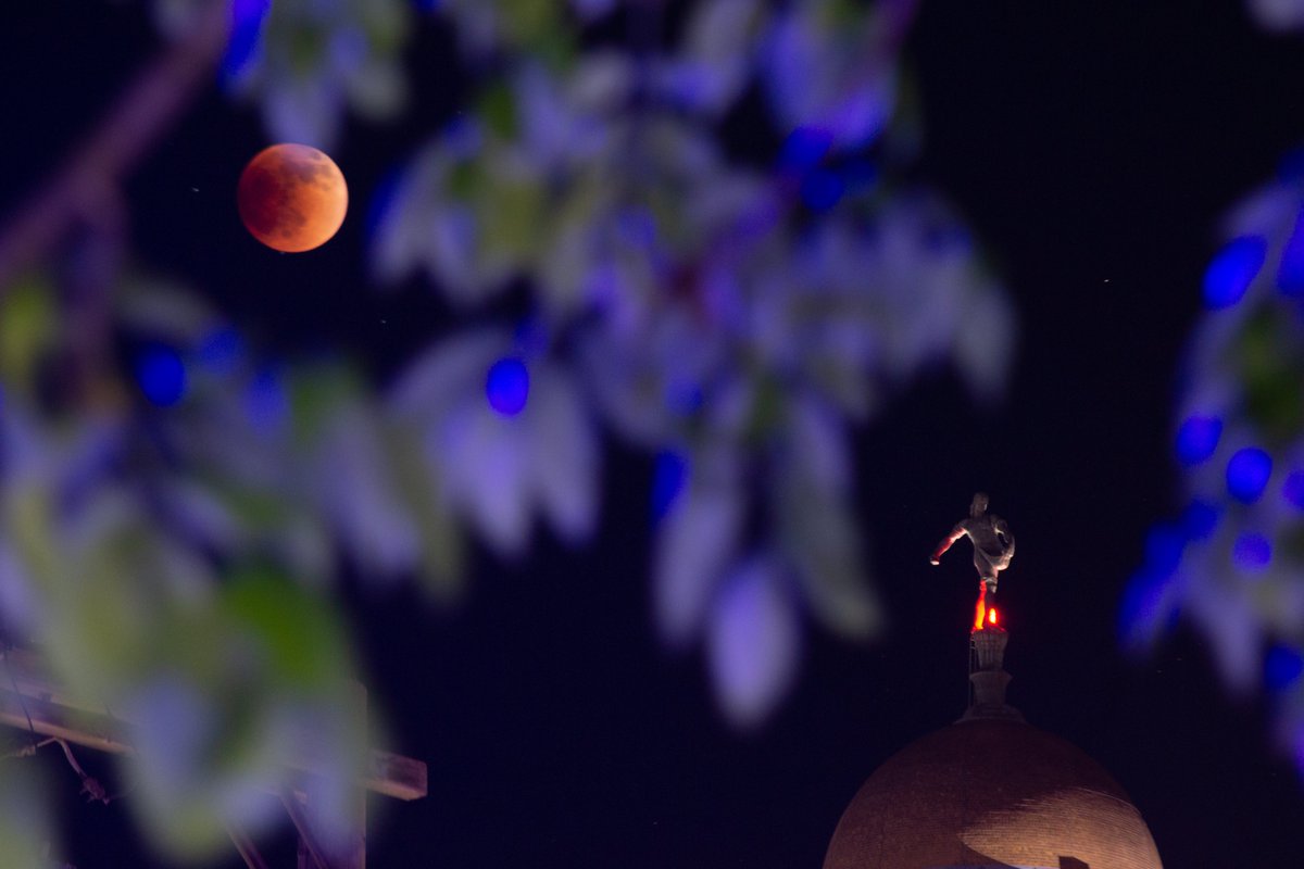 ANerdsHen's tweet photo. In case you missed it, there was a lunar eclipse last night over Lincoln, NE. #LunarEclipse #LNK #LincolnNE #LincolnCapitol https://t.co/rgxIlS4t66