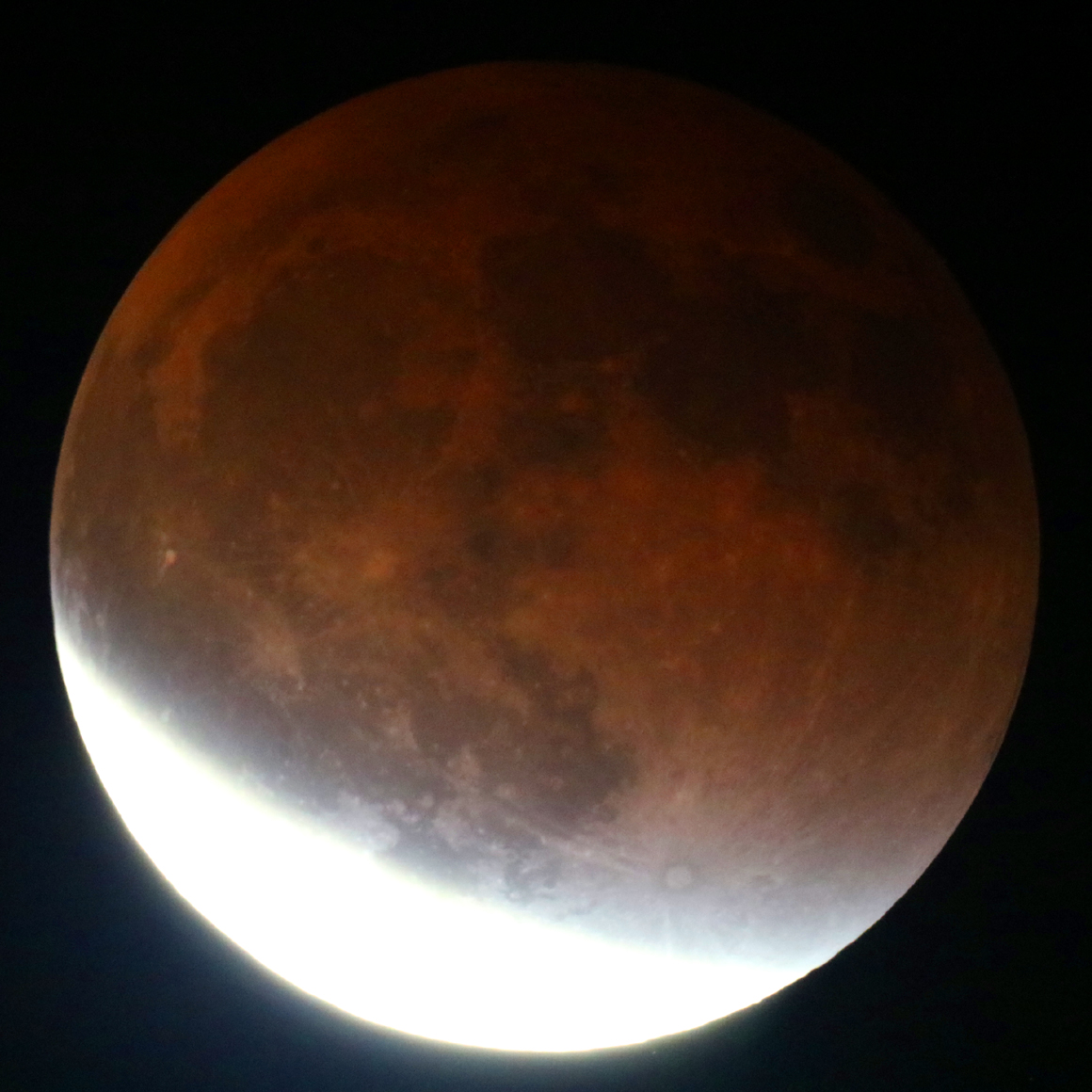 ronmscience's tweet photo. In spite of off-and-on patchy clouds, I was able to catch some decent views of last night's total #LunarEclipse. Will be putting my photos together into a timelapse in the near future! https://t.co/dObowq1Op7