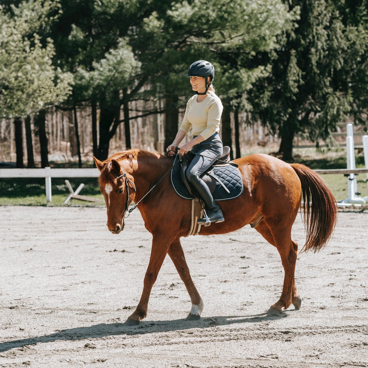 AspenGoldBed's tweet photo. Learn how your horse’s body adapts to exercise training, how he acclimates to spring and summer weather conditions, and what you can do to help him perform at his best: https://t.co/DXAL8dODKQ #HorseRiding #SummerRidingTips https://t.co/OHytpQhZuX