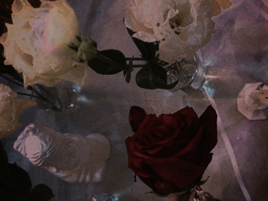 pyubebe's tweet image. ❥･• 𝐃𝐨 𝐰𝐡𝐚𝐭 𝐲𝐨𝐮 𝐥𝐨𝐯𝐞, 𝐥𝐨𝐯𝐞 𝐰𝐡𝐚𝐭 𝐲𝐨𝐮 𝐝𝐨 ᝰꪑ