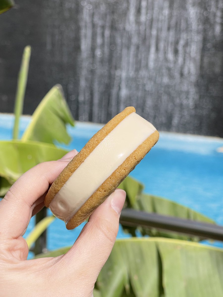 الصيف و أجواءه 😍
صيفكم بارد و لذيذ مع الايس كريم ساندويتش بالكراميل المملح ☀️🍦