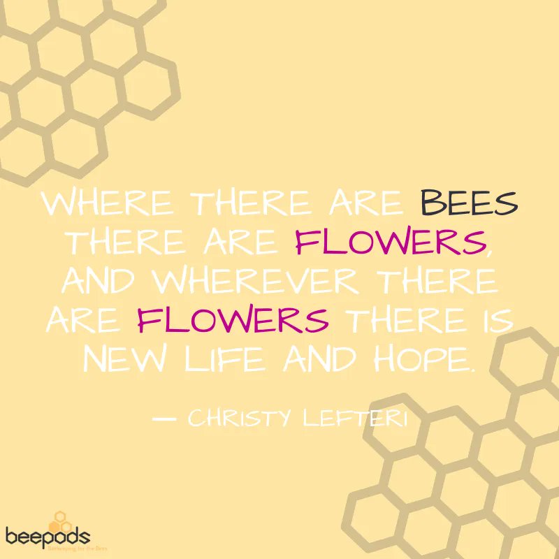 Beepods's tweet photo. "Where there are bees there are flowers, and wherever there are flowers there is new life and hope."
β Christy Lefteri
#Savethebees #Beepods #Honey #Bees #mondayMotivation https://t.co/OzfNruP8WP