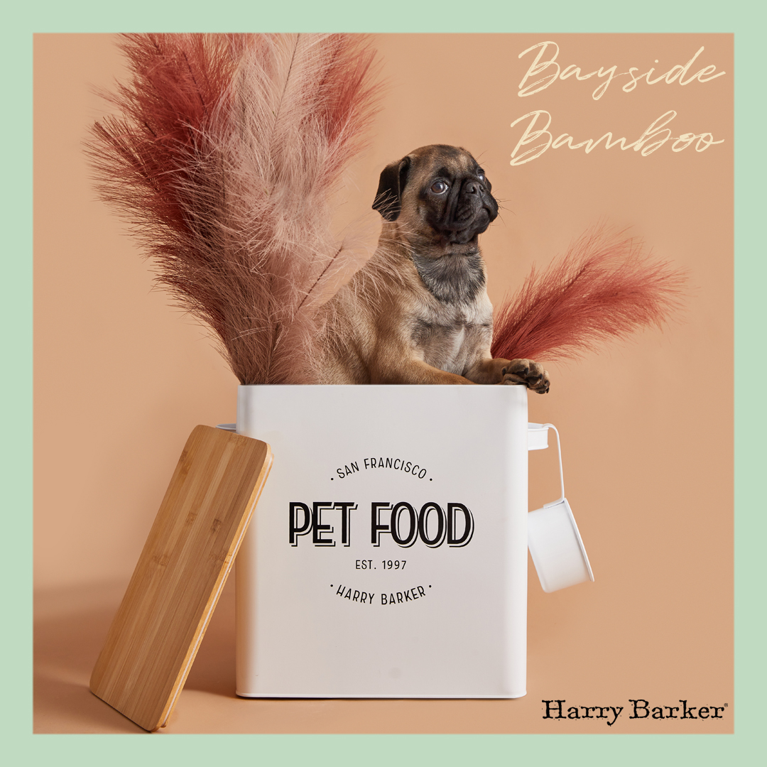 HarryBarkerCo's tweet photo. Dreaming of the West Coast? Bring some San Francisco style to your home with our Harry Barker Bayside Bamboo Food Storage. #SanFrancisco #dogsoftwitter #pugs https://t.co/RAw3NI5xmJ