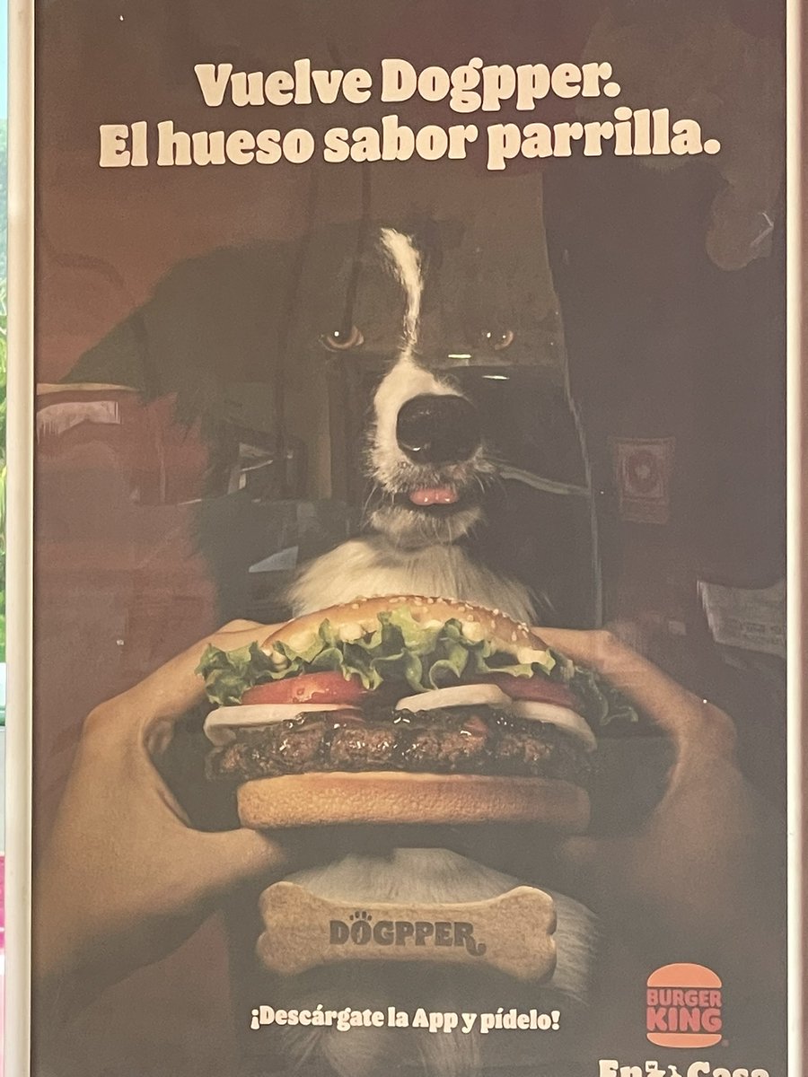 micraflow's tweet photo. ¿Alguien me explica? #dogpper https://t.co/XRRyFsnpcU