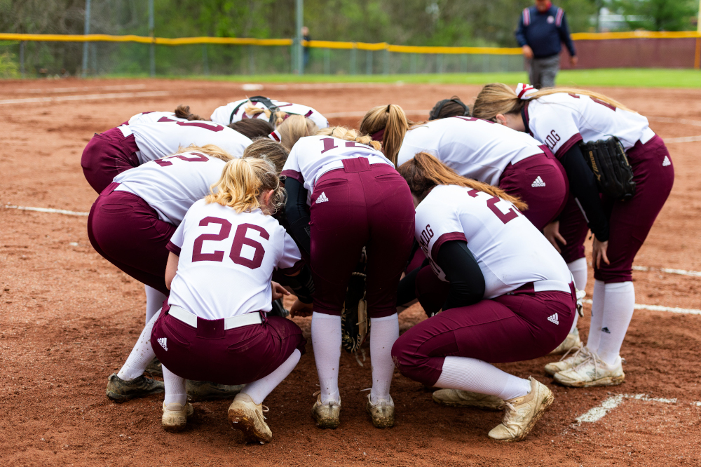 Walsh Jesuit Softball tweet media