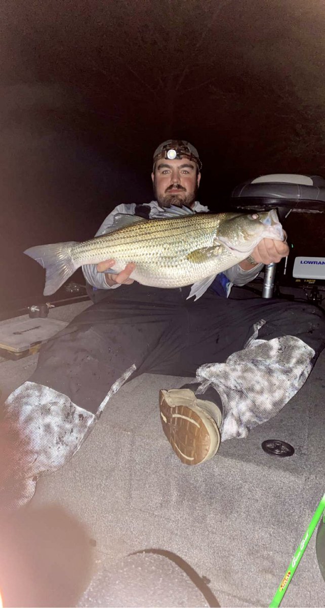paboyzoutdoors1's tweet photo. And the striper bite begins at Lake Arthur in western PA! Staffer @brendonstamm caught his personal best 11lb 29 in striper Saturday night!
#fishing #striper #stripedbass #bass #bassfishing #nightbite #nightfishing #staff #paboyz #paboyzoutdoors #whatgetsyououtdoors https://t.co/7va9ScAYX8