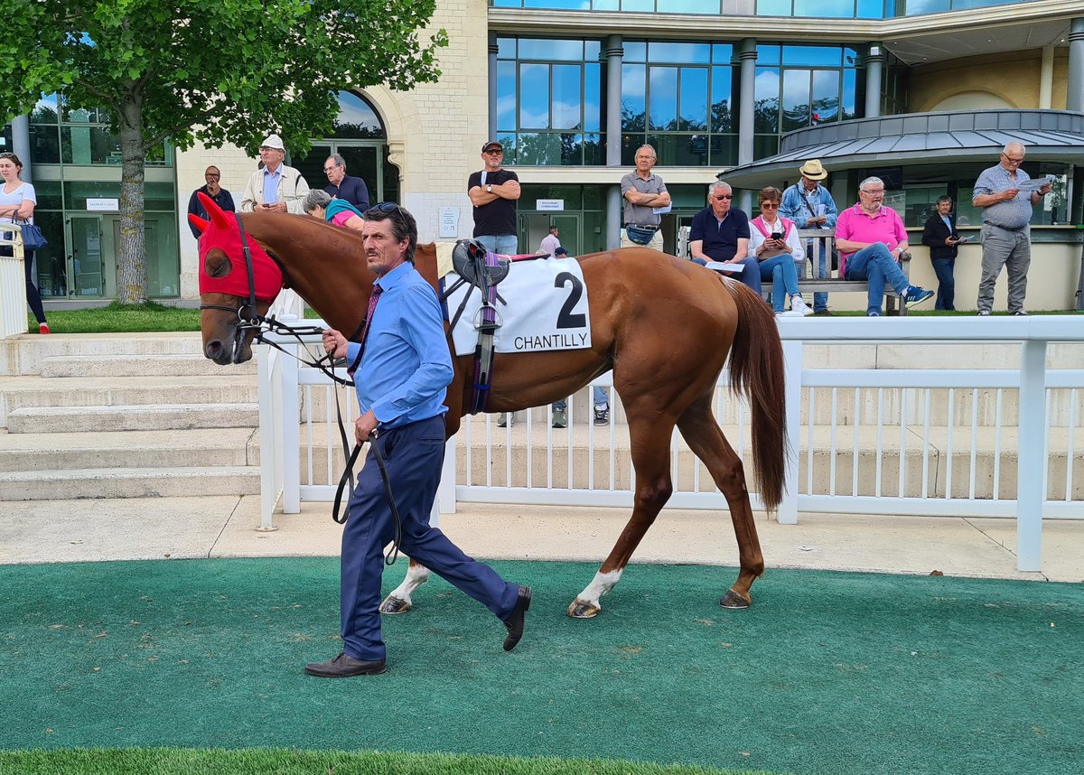 seenthestars's tweet photo. #EbroRiver heading out for the Prix Texanita @fgchantilly @RacingPost @rpbloodstock https://t.co/8krGwKet54