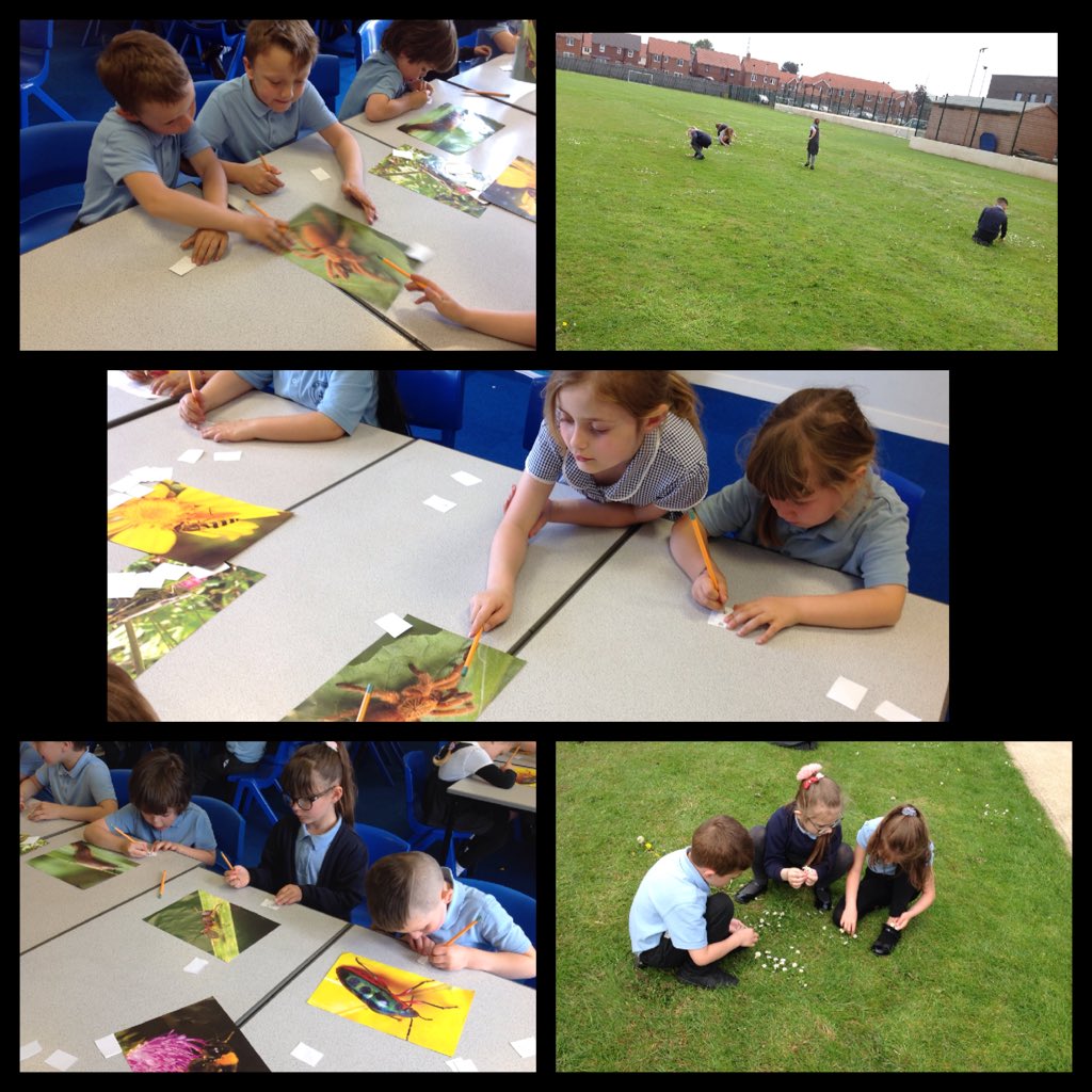 Miss Allen tweet media