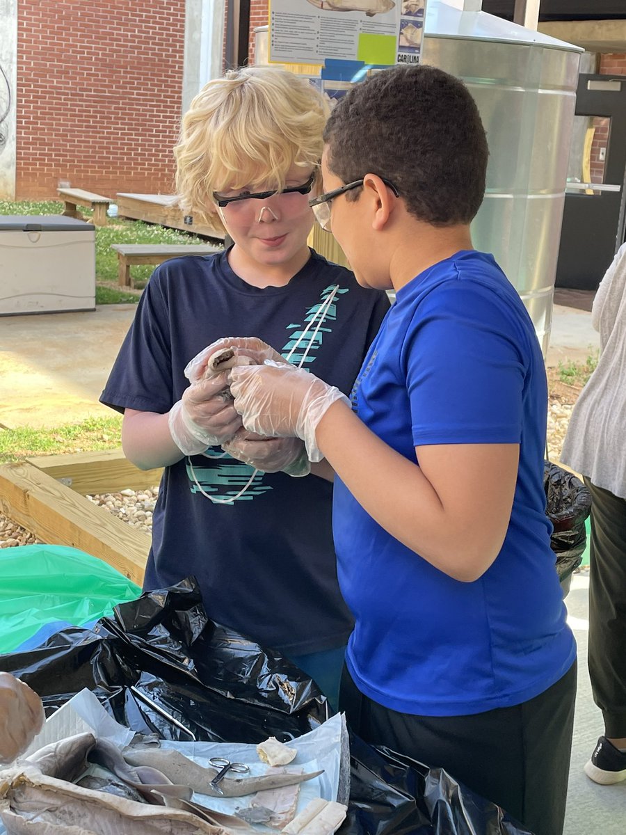 liggett_5's tweet photo. We got to enjoy the new outdoor classroom today while we dissected sharks! The kids loved the experience! Thank you @RNE_Foundation  and @RLifescience , Mrs. Rains, for making this opportunity available to our 5th graders! #rnegreatthings https://t.co/PBmJtPzVFm