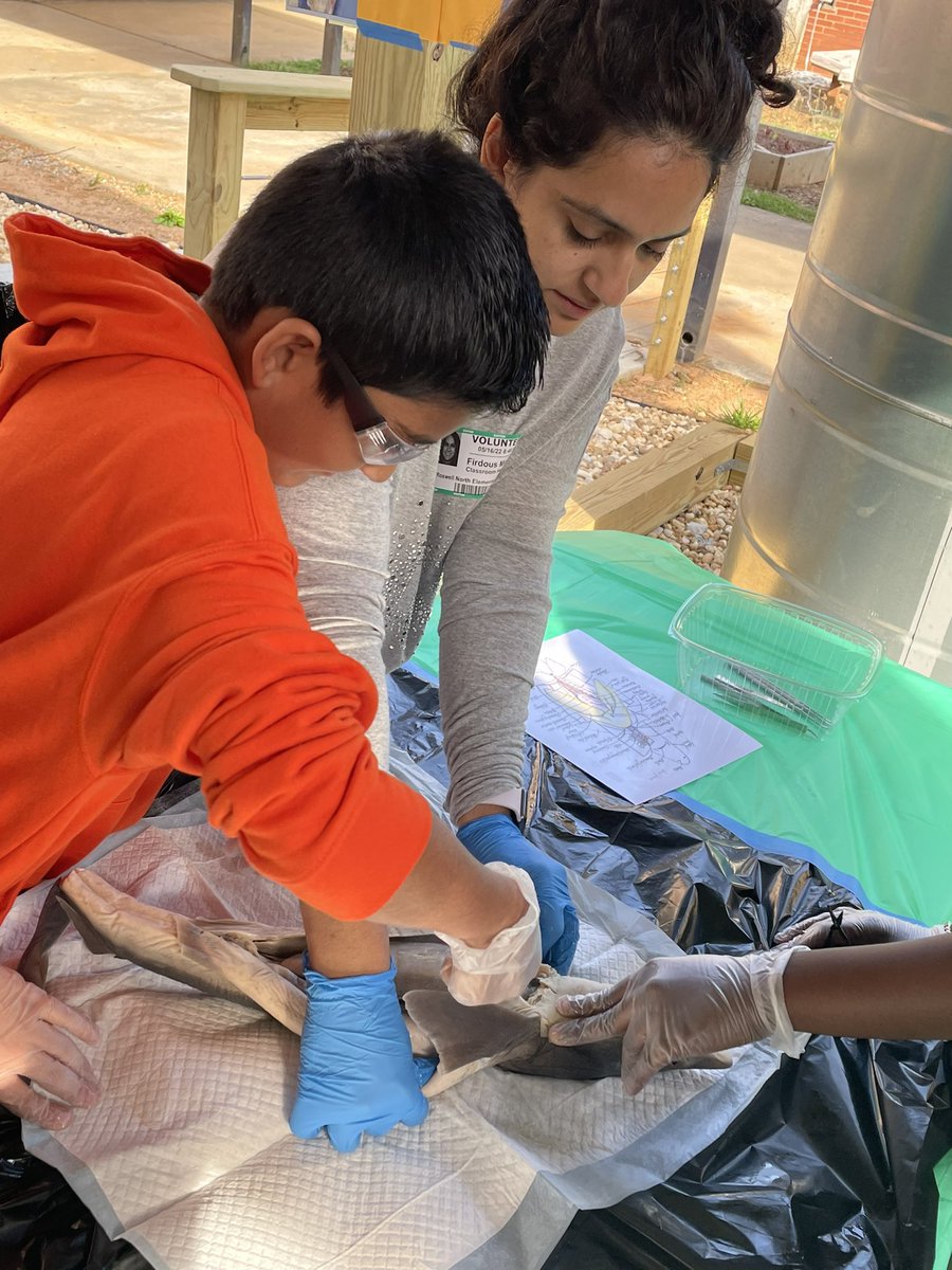 liggett_5's tweet photo. We got to enjoy the new outdoor classroom today while we dissected sharks! The kids loved the experience! Thank you @RNE_Foundation  and @RLifescience , Mrs. Rains, for making this opportunity available to our 5th graders! #rnegreatthings https://t.co/PBmJtPzVFm