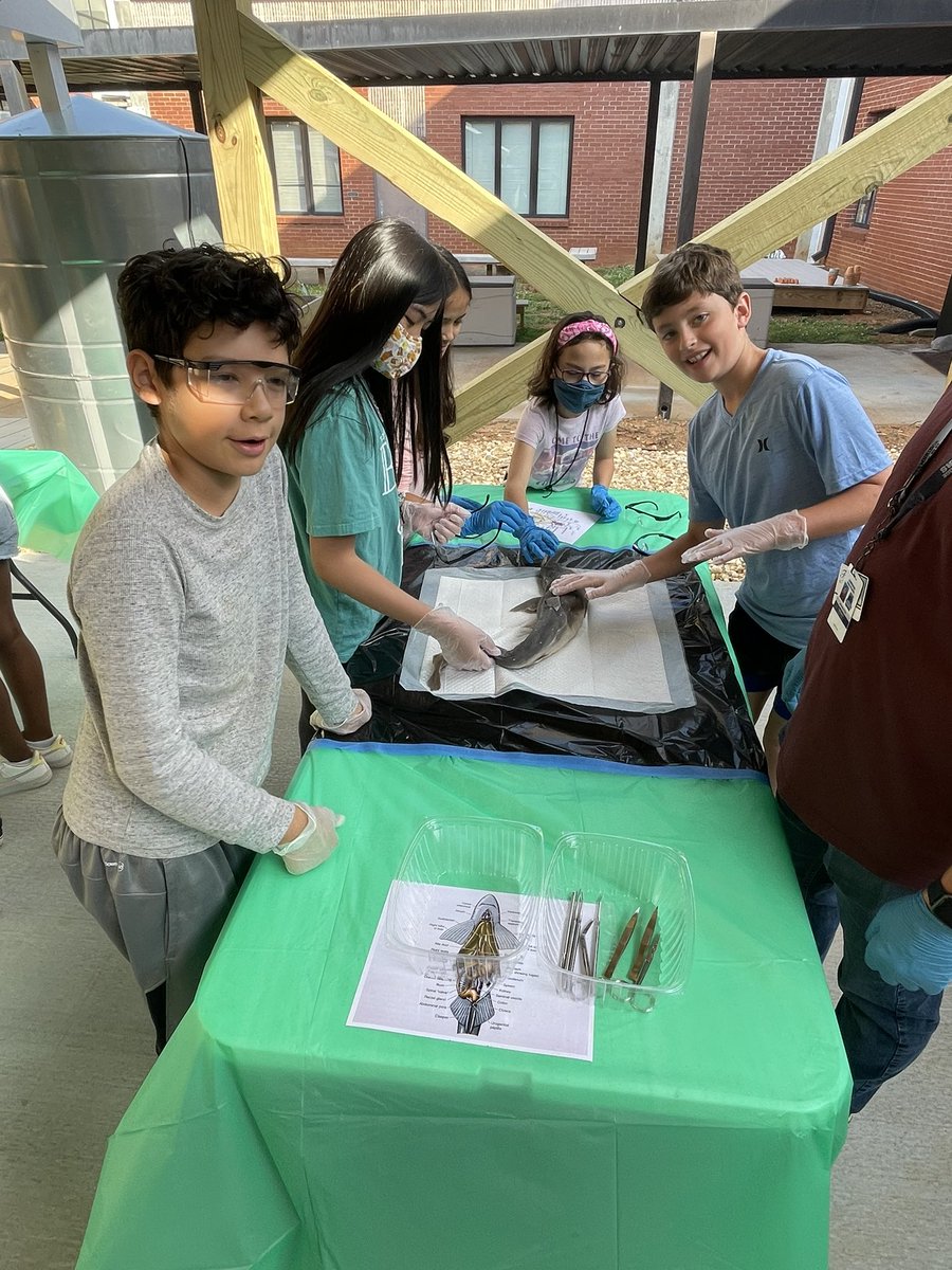 liggett_5's tweet photo. @RNE_Foundation @RLifescience #rnegreatthings https://t.co/DjPH09YSN2