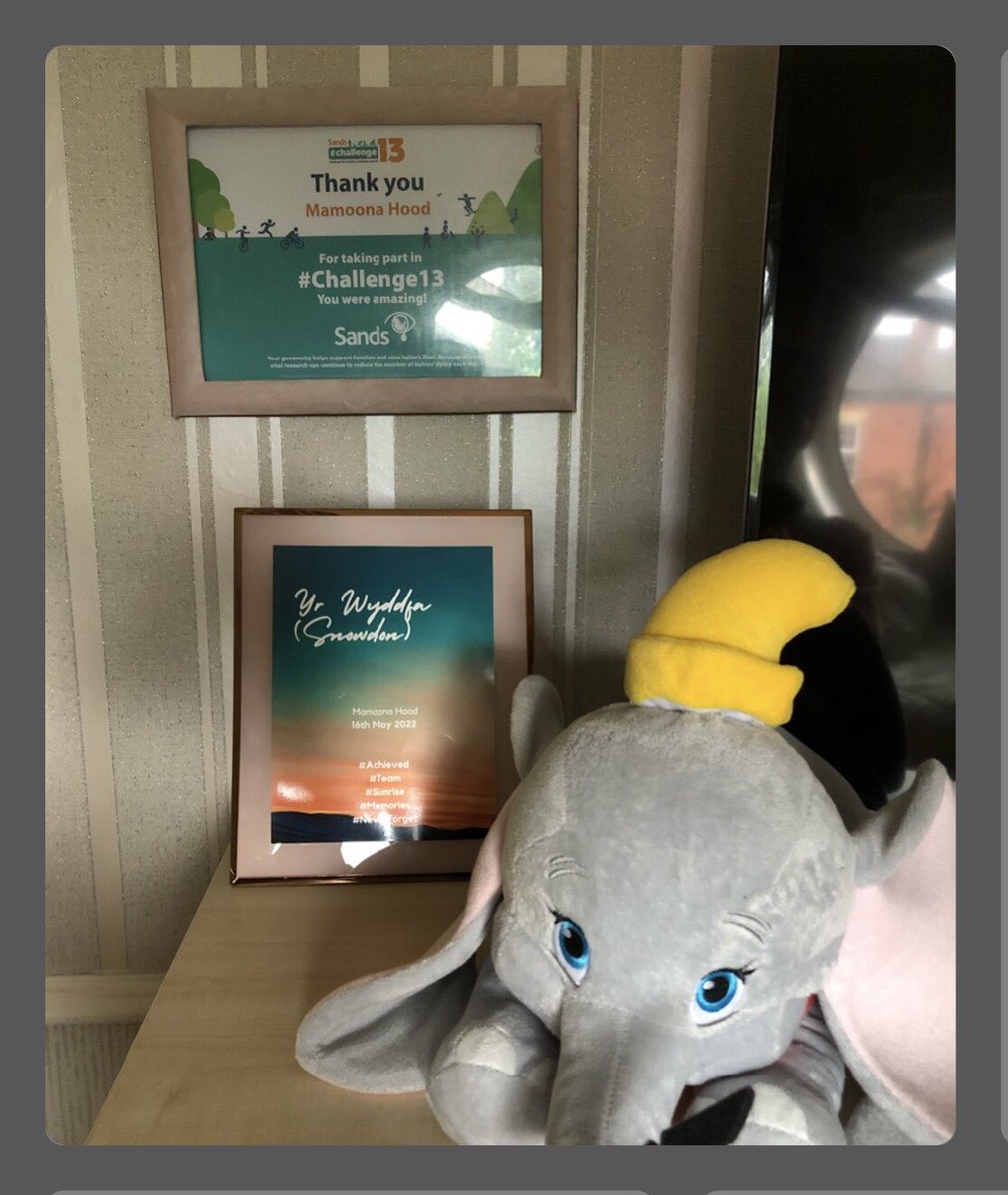 hood_mamoona's tweet photo. Received my certificate from @SandsUK #challenge13 &amp; also lovely certificate from @Ainsworth_Si for Snowdon 
I have now completed all my challenges plus extra. I have raised magnificent amount &amp; thank you for donations.
Special thanks to Chris, John, @helshow1 @Ainsworth_S &amp; Liam https://t.co/vUofNVtwne