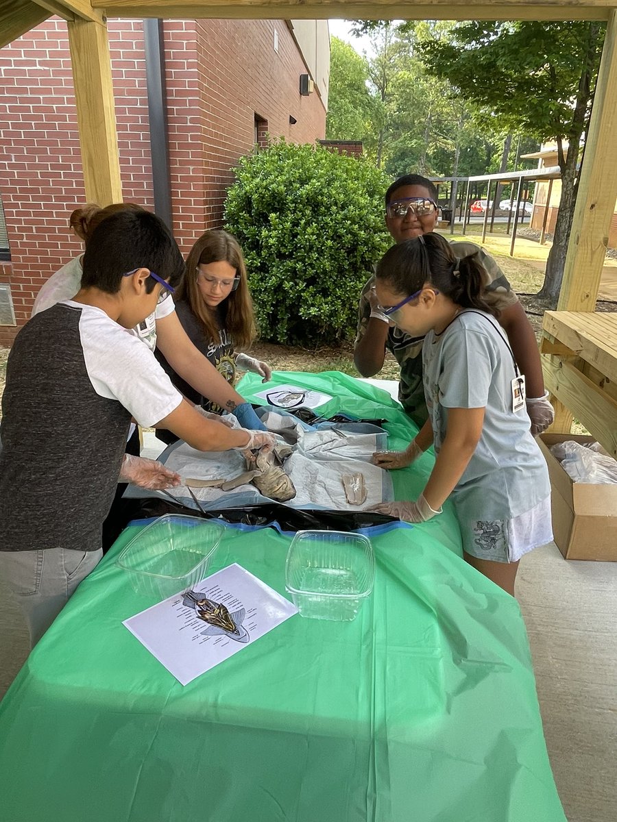 liggett_5's tweet photo. @RLifescience #rnegreatthings @RNE_Foundation https://t.co/C52uS48D8U