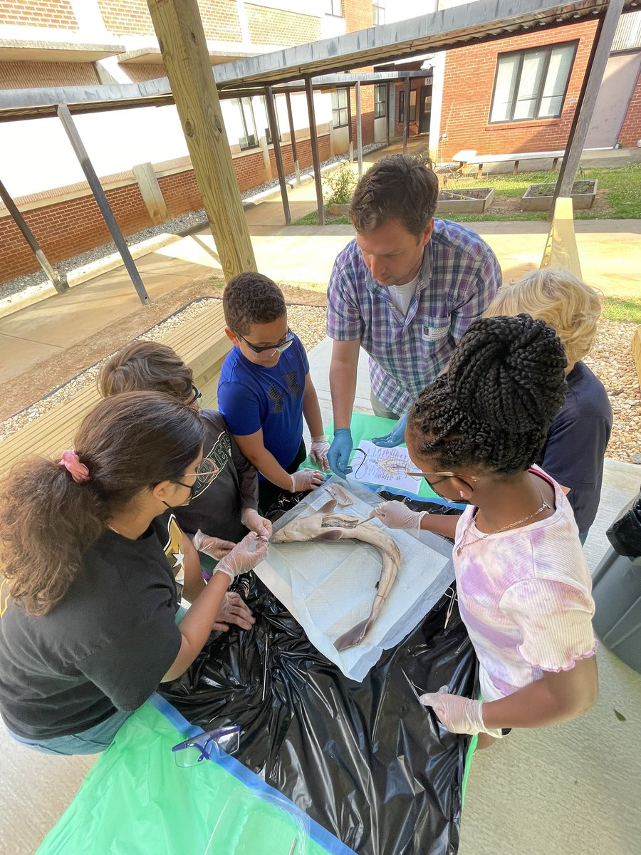 liggett_5's tweet photo. @RLifescience #rnegreatthings @RNE_Foundation https://t.co/C52uS48D8U