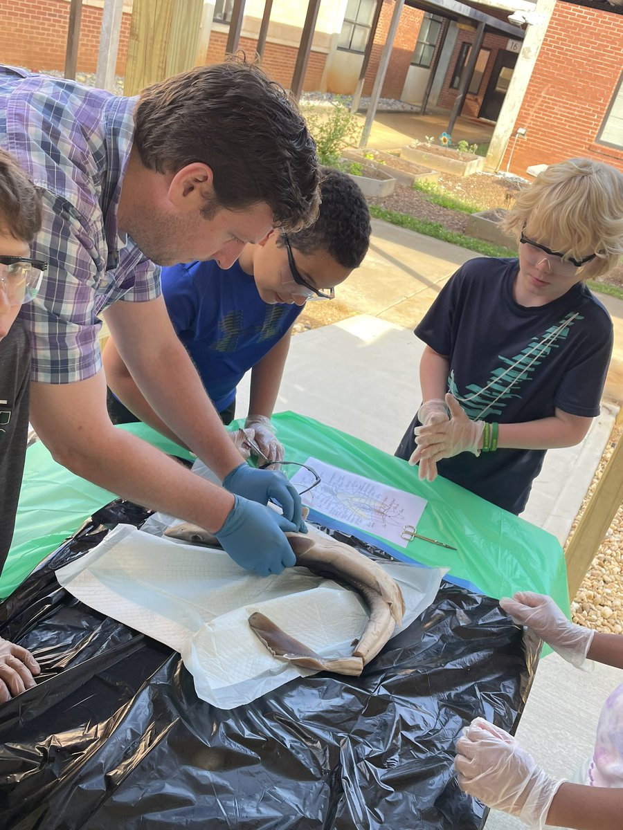 liggett_5's tweet photo. @RLifescience @RNE_Foundation #rnegreatthings https://t.co/d16T3yuMdM