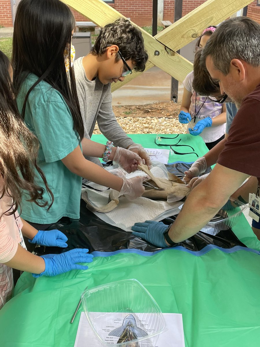 liggett_5's tweet photo. @RLifescience @RNE_Foundation #rnegreatthings https://t.co/d16T3yuMdM