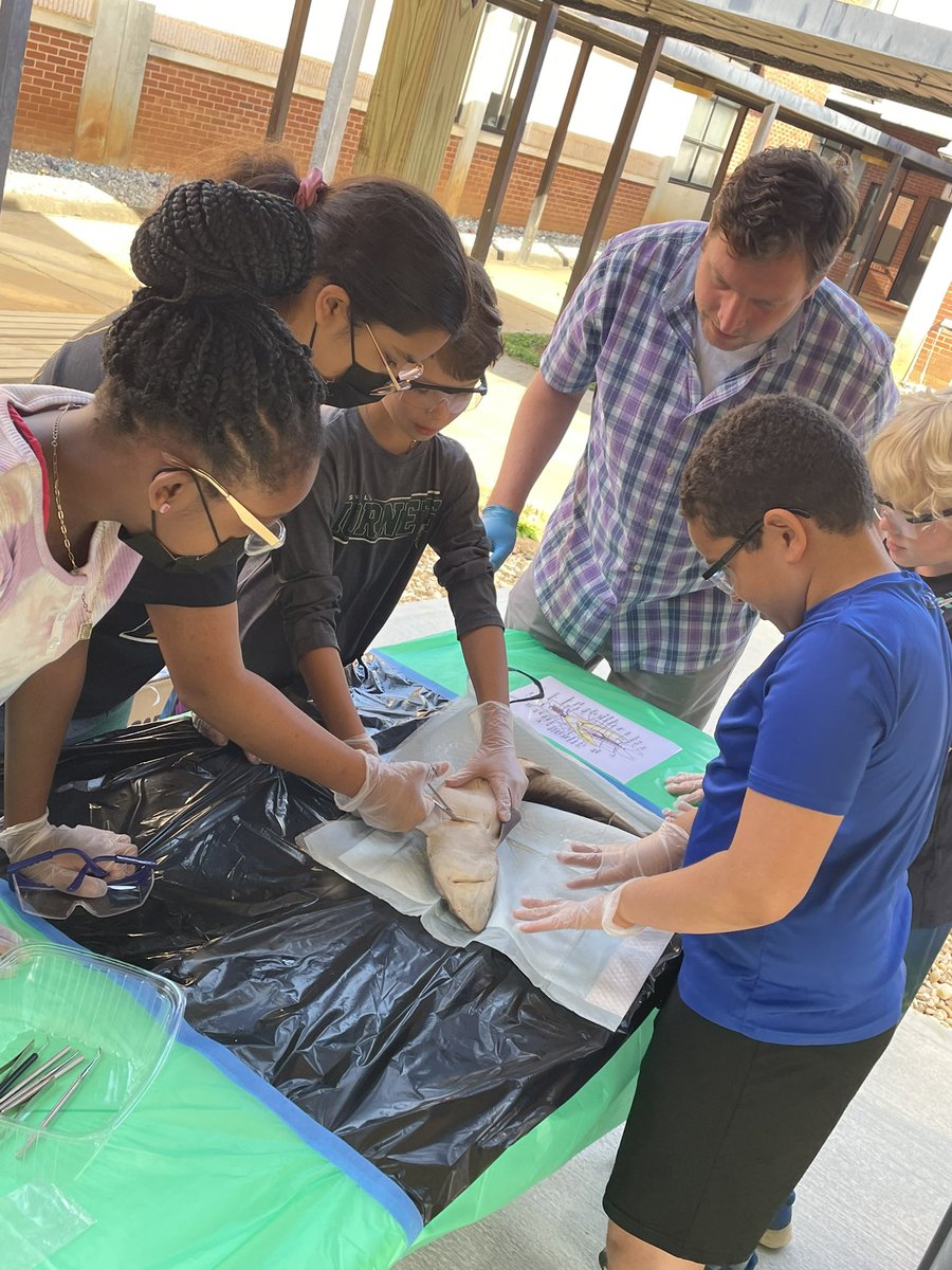 liggett_5's tweet photo. @RLifescience @RNE_Foundation #rnegreatthings https://t.co/d16T3yuMdM