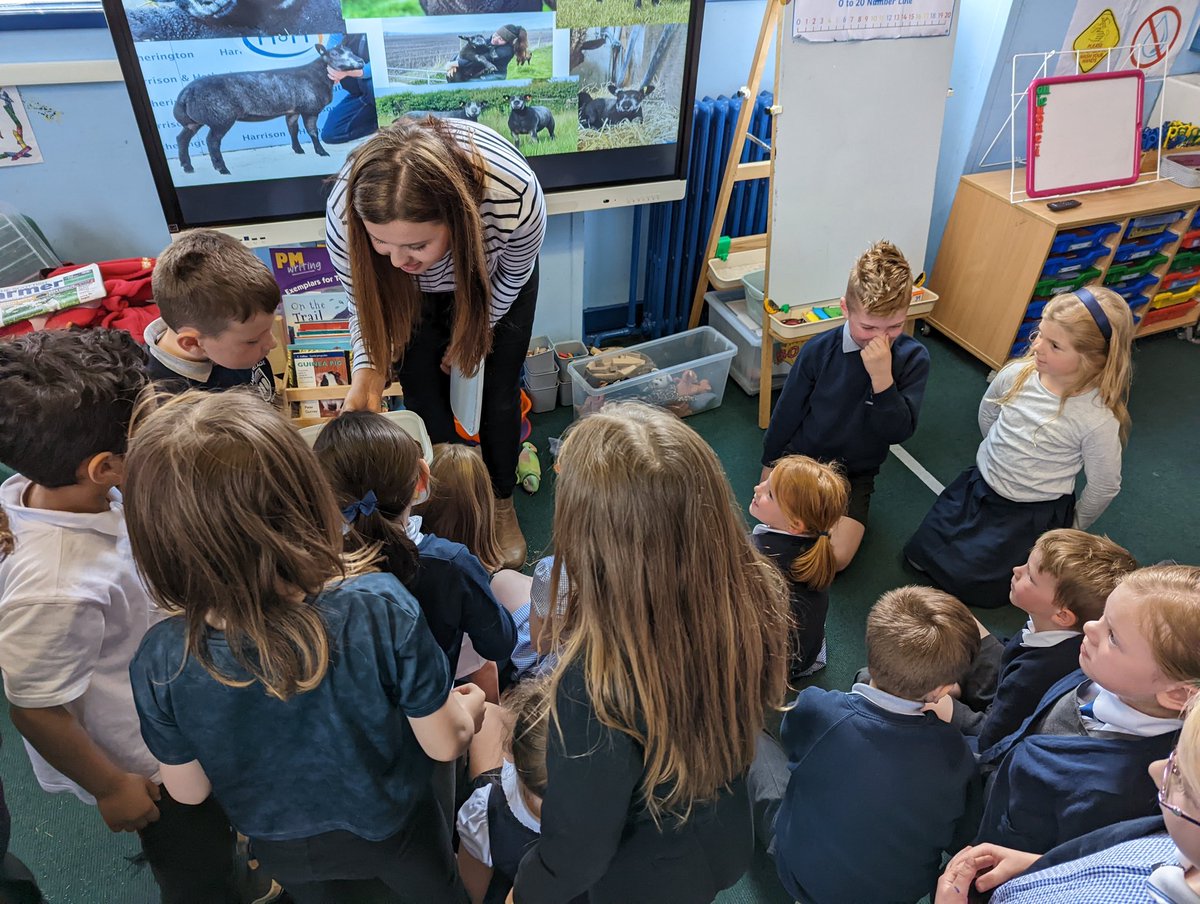 Miss Mitchell tweet media