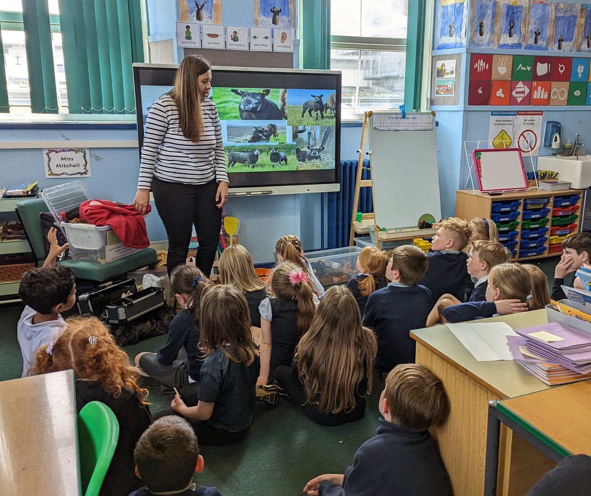 Miss Mitchell tweet media