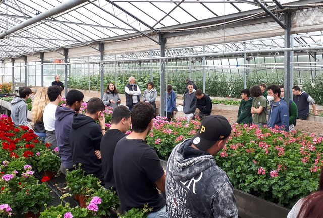 FishProgetto's tweet photo. Newsletter 9 – Inizia la pre-produzione - https://t.co/du8EtlvbDs Continua  lo sviluppo del prodotto, ma si tratta ormai di affinamenti, tutta la potenza di FiSH 15 si dispiega ormai in campo e in serra. https://t.co/1HGRWlKezo