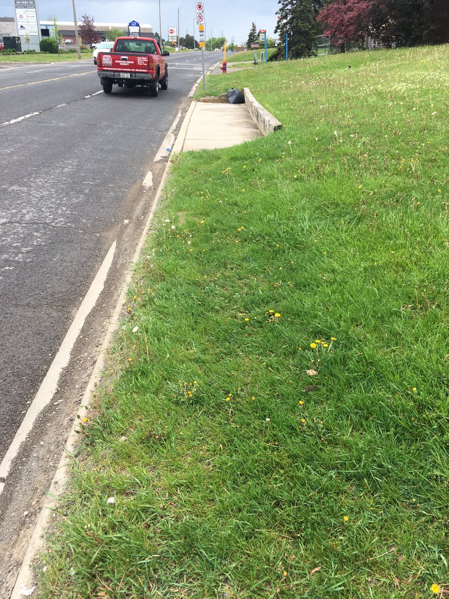 Margaret Shkimba tweet media